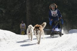 San Bernardino 2008
